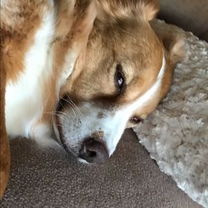 Meet your Posher, Nolan